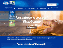 Tablet Screenshot of le-bicarbonate.com